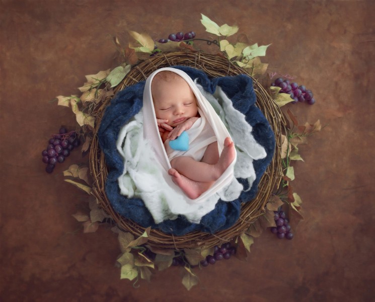 Grapes-2
