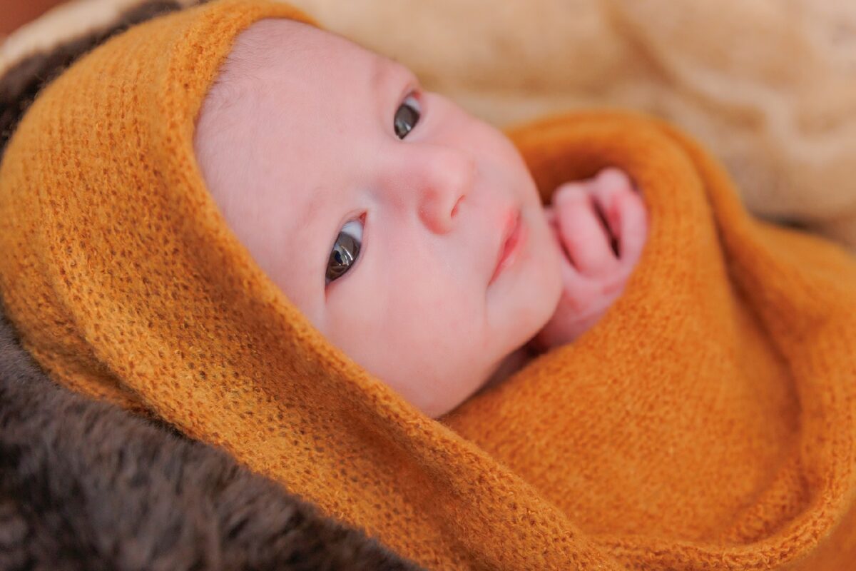 Gioele